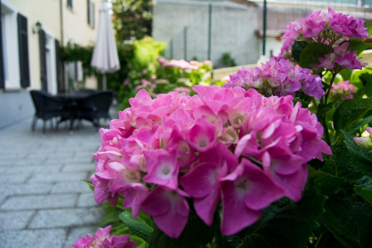 Giardino Delle Ortensie Cannobio Εξωτερικό φωτογραφία
